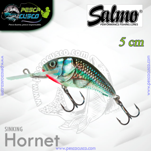salmo hornet HGS floating sinking